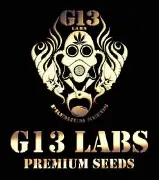 G13 Labs