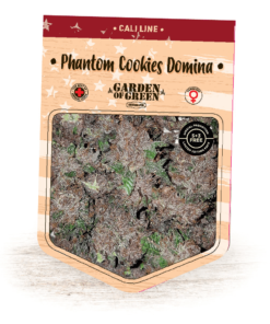 Phantom Cookies Domina
