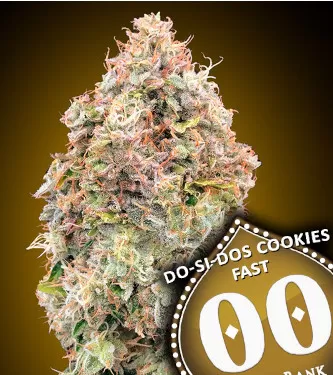 Do Si Dos Cookies Fast