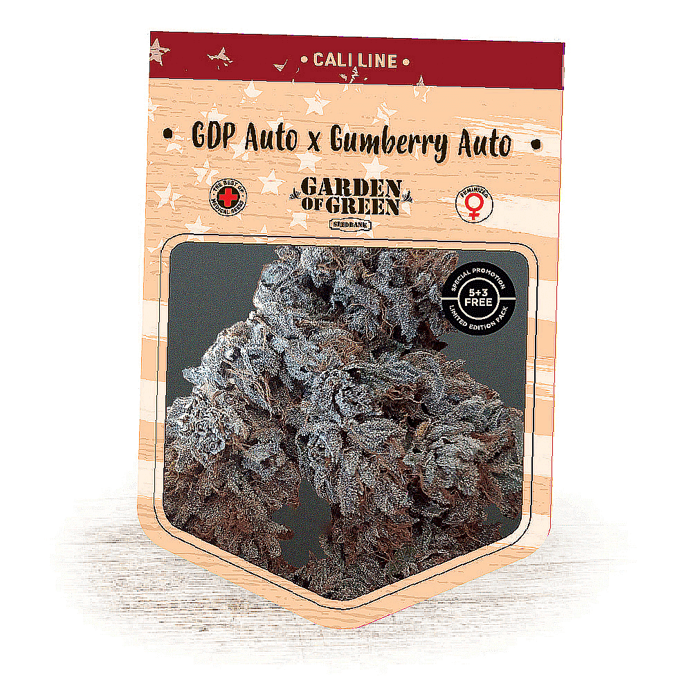 GDP Auto X Gumberry Auto Seeds