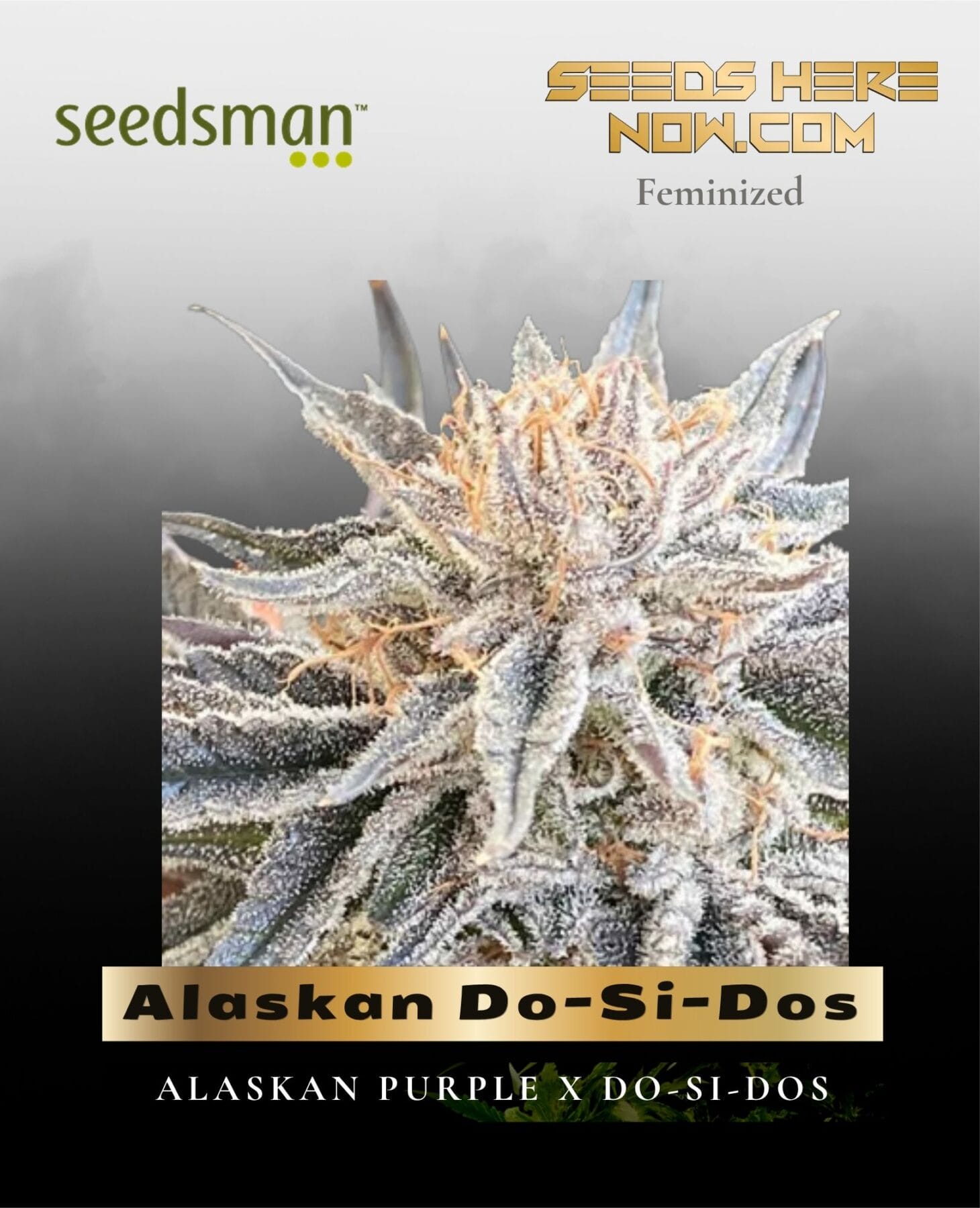 Alaskan Do-Si-Dos