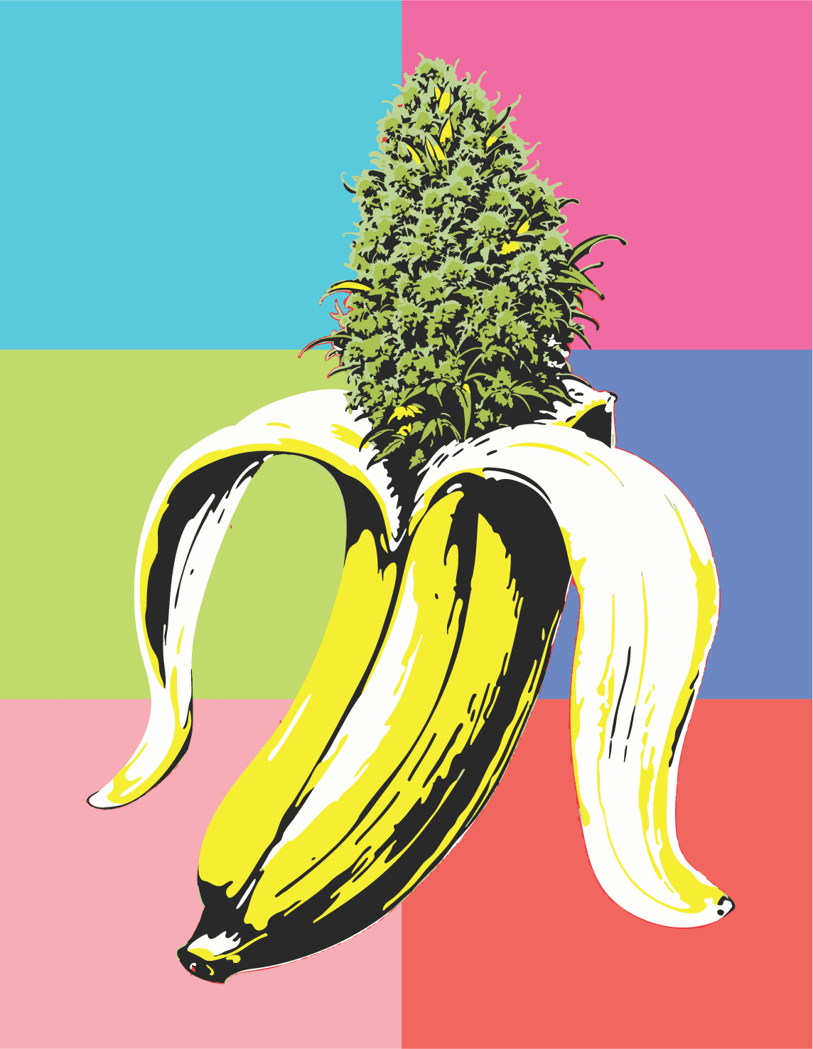 Banana OG Feminized