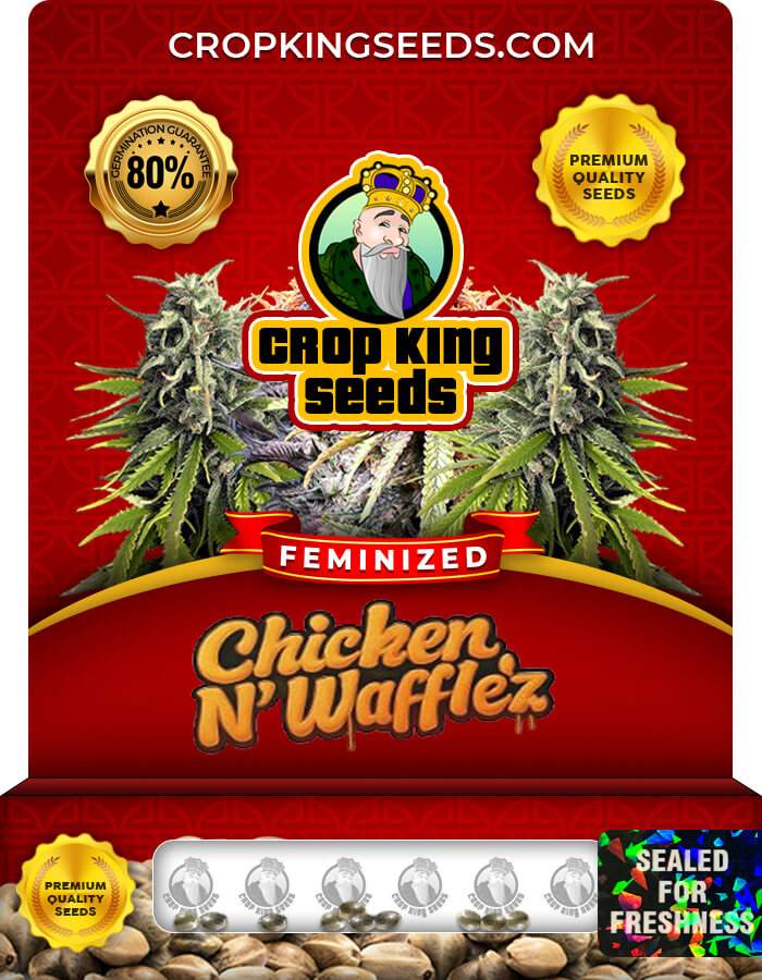 Chicken N Wafflez