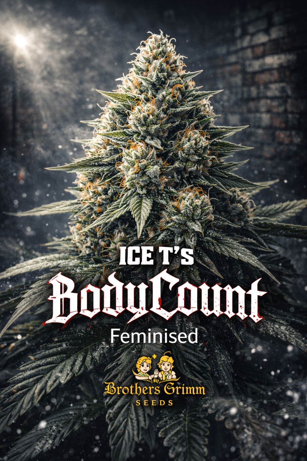 Ice T's BodyCount Feminised Seeds