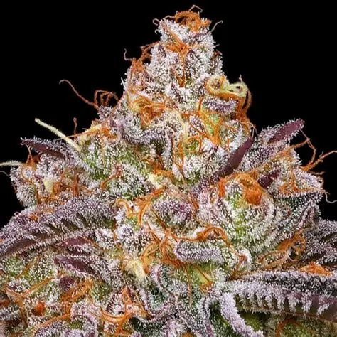 Granny Candy