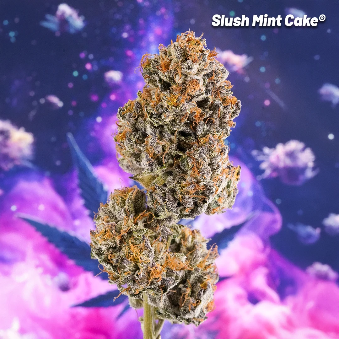 Slush Mint Cake