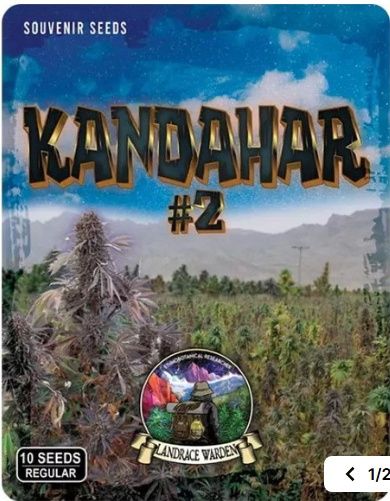 Kandahar Arghandab #2