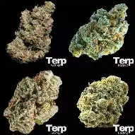 Terp Explosion Mix®