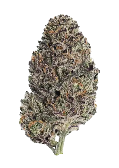 Lemon Cherry Runtz™