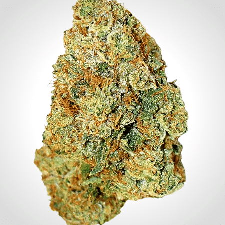 Expert Gorilla Auto (was GG #4 Auto) Feminised Seeds