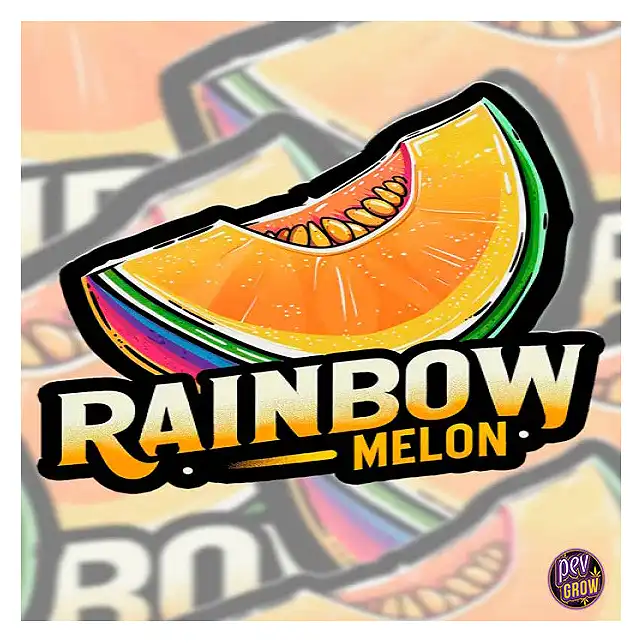 Rainbow Melon Feminized Seeds