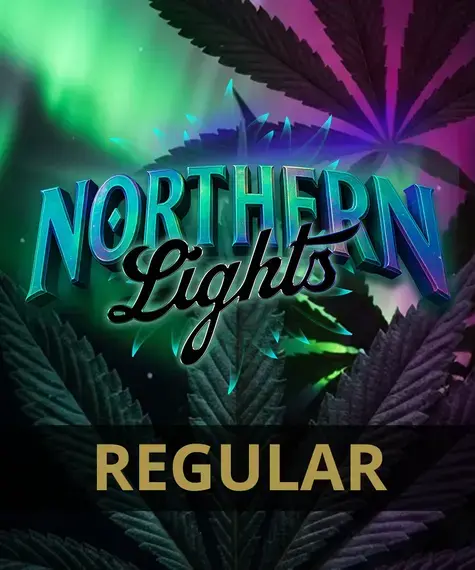 Northern Lights Regular Seeds