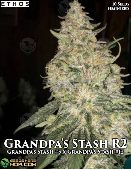 Grandpa's Stash R2 Feminised Seeds