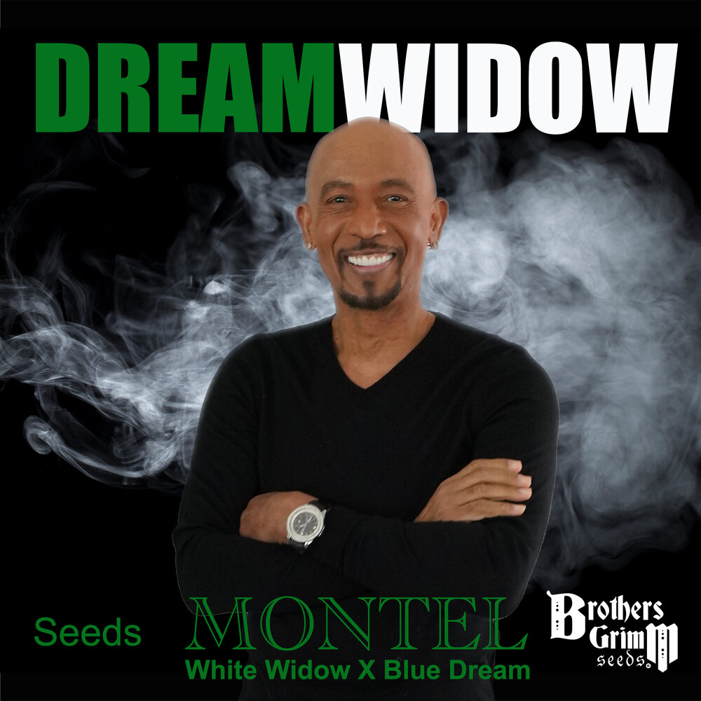 Montel's Dream Widow Feminised Seeds