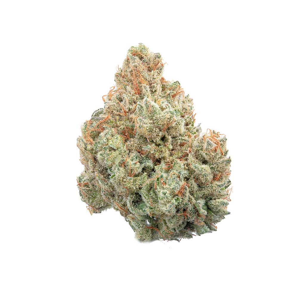 Easy Button Auto Feminised Seeds